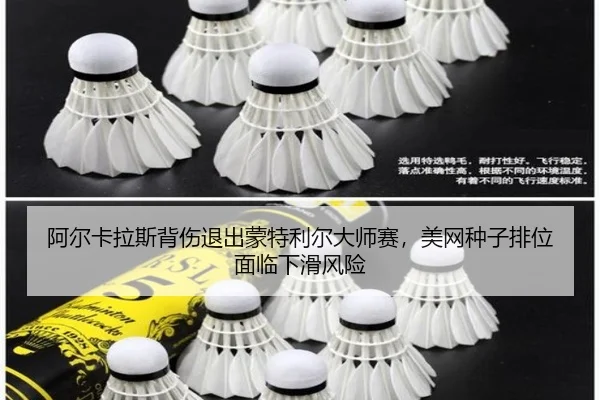 a-er-ka-la-si-bei-shang-tui-chu-meng-te-li-er-da-shi-sai-mei-wang-zhong-zi-pai-wei-mian-lin-xia-hua-feng-xian-3-115.jpg